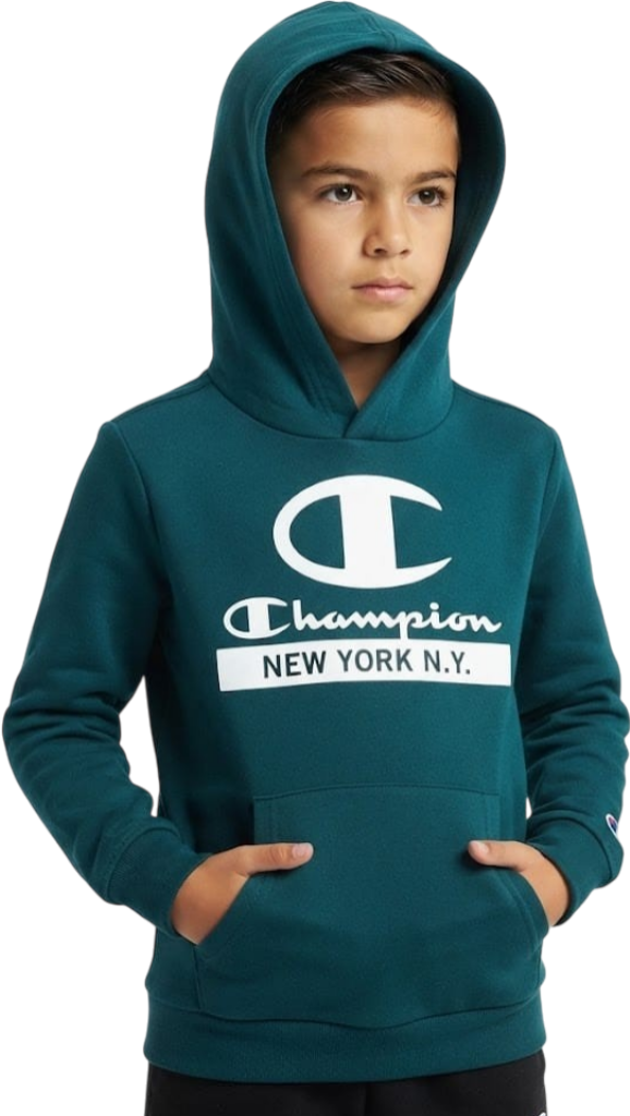Champion felpa cappucci