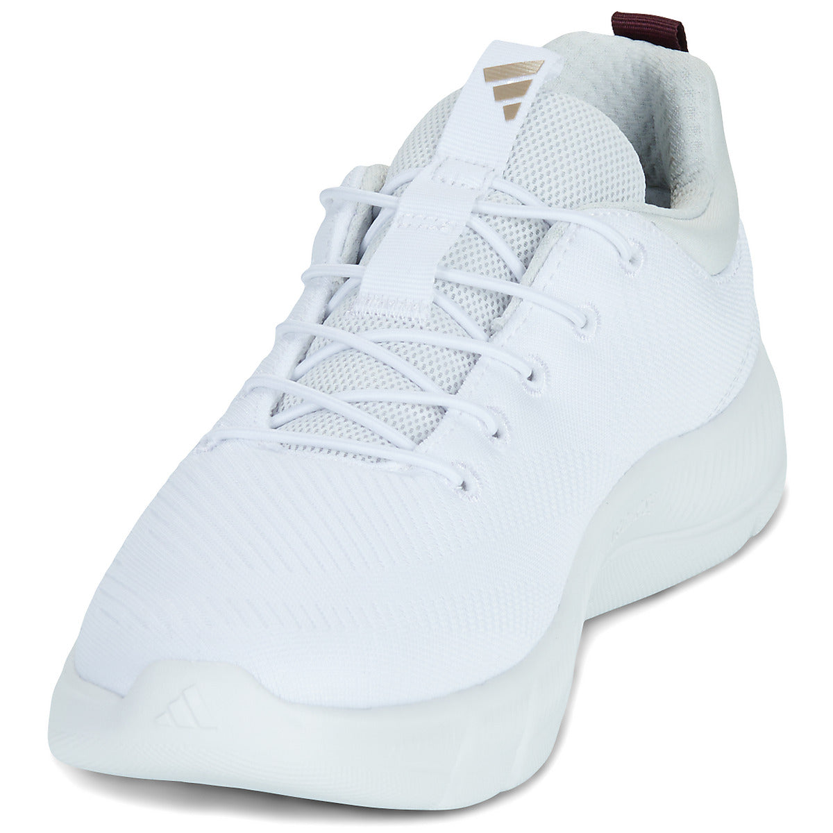 cloudform flex elastic wide pianta larga