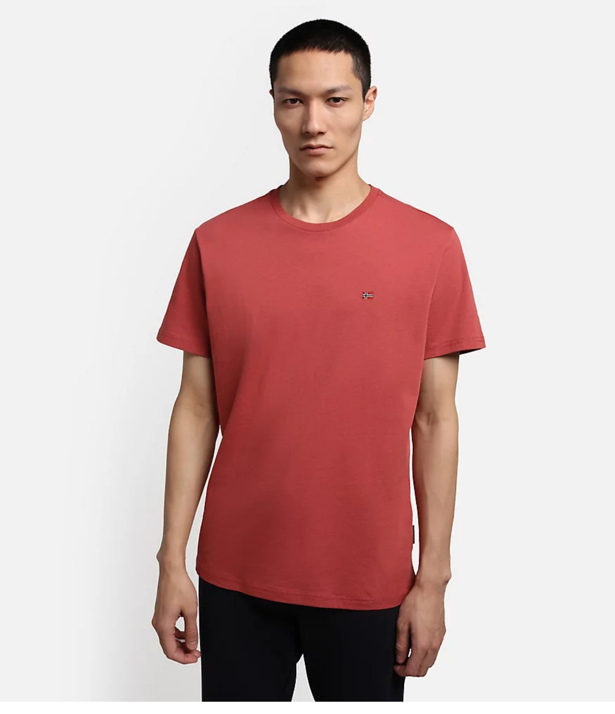 NApapijri t-shirt con solo logo salis