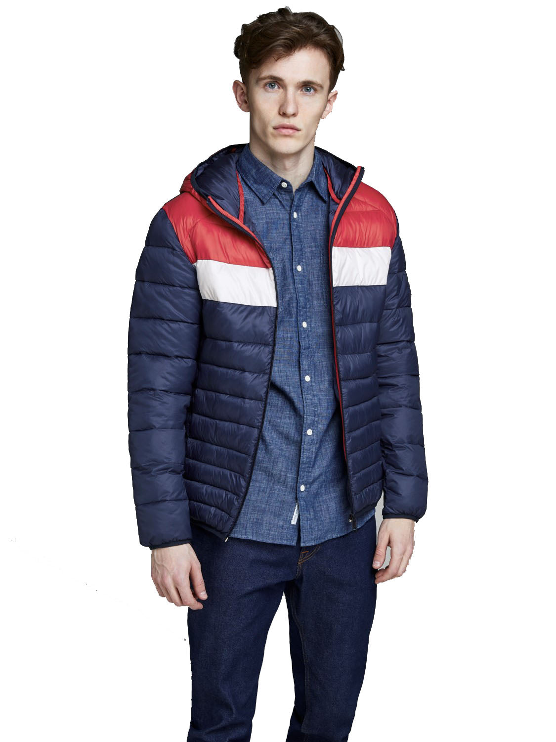 jack&jones giubbino tricolore modinbottito in piuma sintetica mod bomb