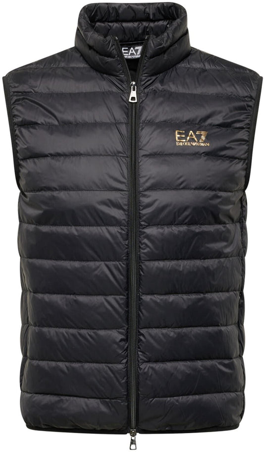 EA7 Gilet imbottito black