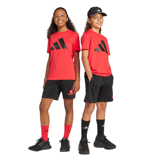 Adidas completo JR j bl t-set purrub/black